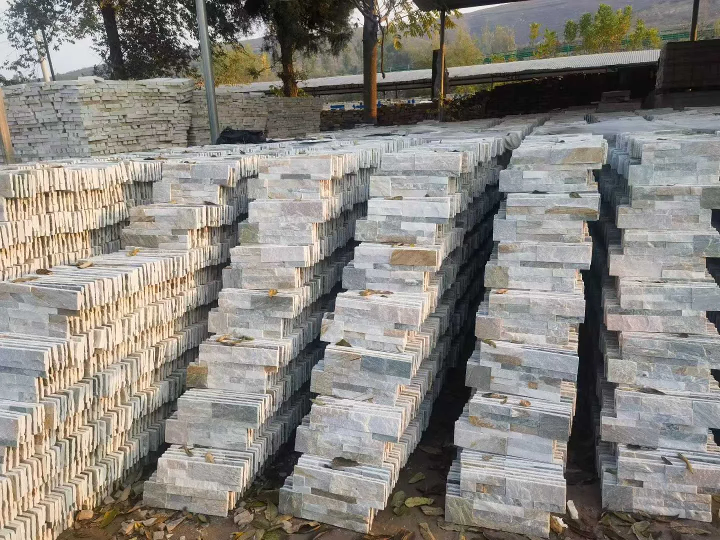 Culture Stone 5 - Slab View